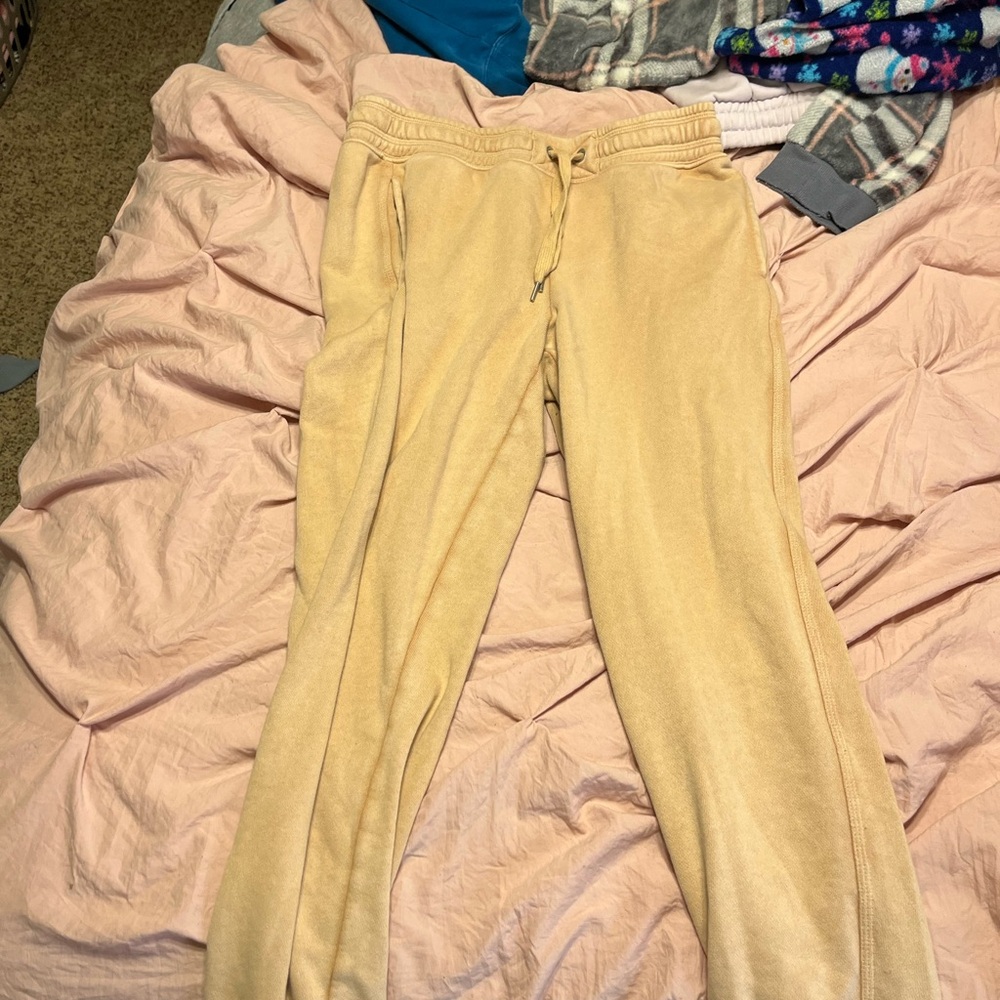 Aerie Tan Jogger Pants